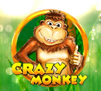 Crazy Monkey